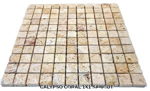 1" X 1" Mesh Mounted Calypso Coral Stone Mosaics (Dominican Coral Stone) Tiles, Calypso Coral Tumbled Mosaic Tiles