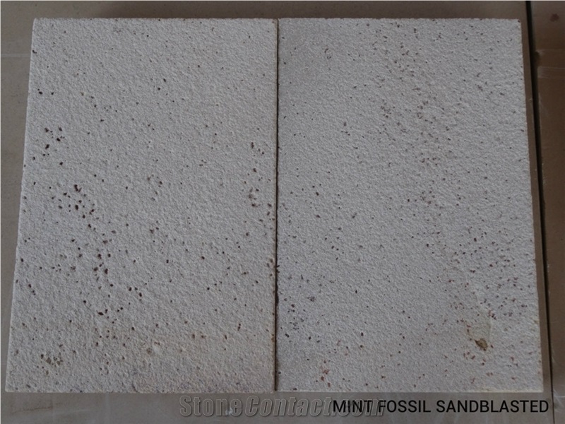 Mint Fossil Sandblasted Sandstone