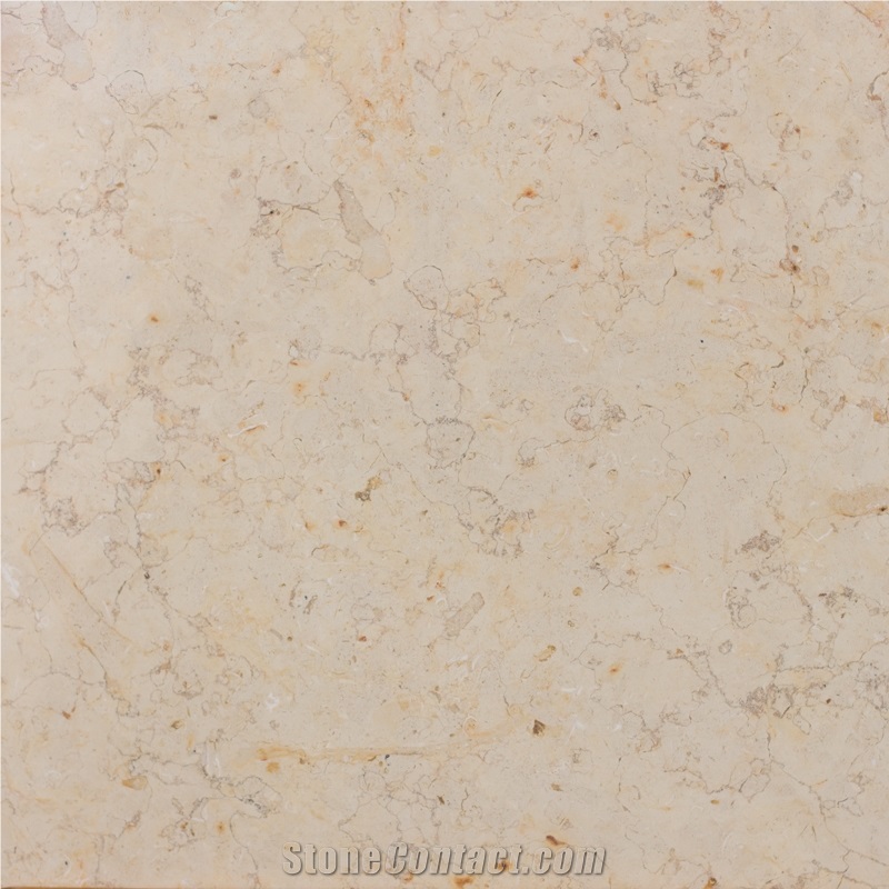 Jerusalem Bone Limestone Slabs & Tiles