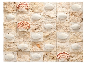 Ancient Stone Collection - Coralina Y Concha Marina