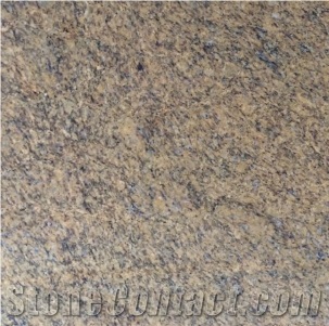 New Vienna Gold Tiles&Slabs. Brazil Yellow Granit, Brazil Granit Yellow Granite Slabs & Tiles