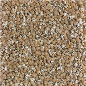 Artificial Onyx Slab Pxhy004，Sea Shell Sunshinestone