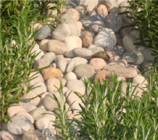 Scottish Rounded Pebbles