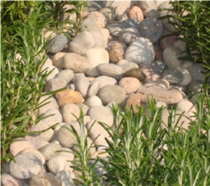 Scottish Rounded Pebbles