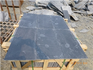 China Black Slate Slabs & Tiles