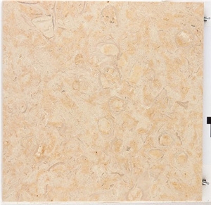 Oro Shell Limestone Tiles, Fossil Oro Limestone Slabs & Tiles Oro Shell Limestone Tiles, Fossil Oro Limestone Slabs & Tiles