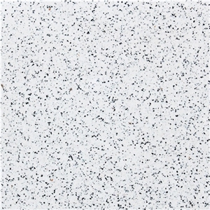 Hiterra Ht 2001 (Single Layer Terrazzo Tile)