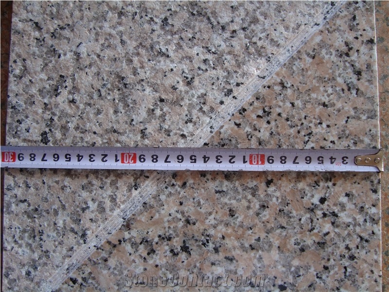 Xili Red Granite Tiles & Slabs, China Rosa Porrino