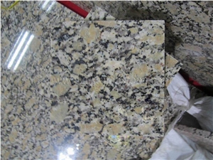 Yellow Butterfly Granite Tile