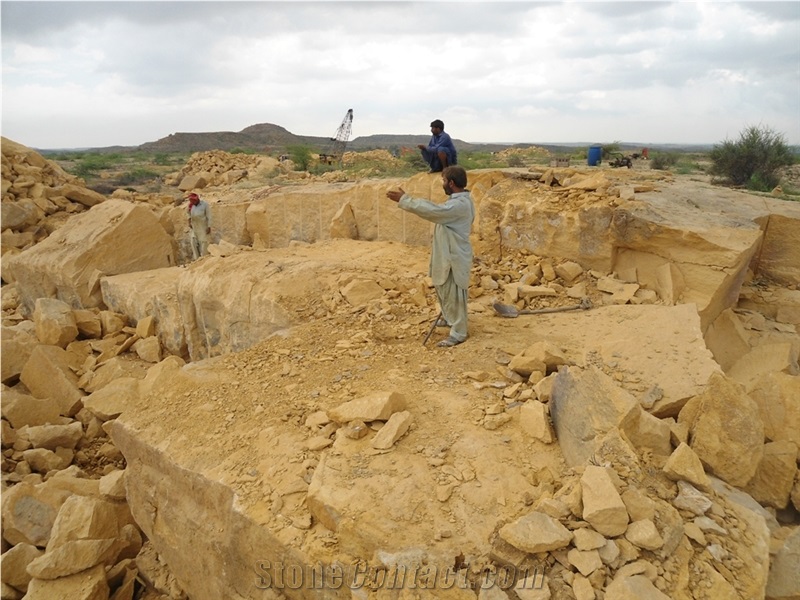 Armenia Gold Limestone Slabs Tiles Honed,Yellow Coral Stone Machine Cut Panel for Villa Exterior Wall Cladding,Floor Covering