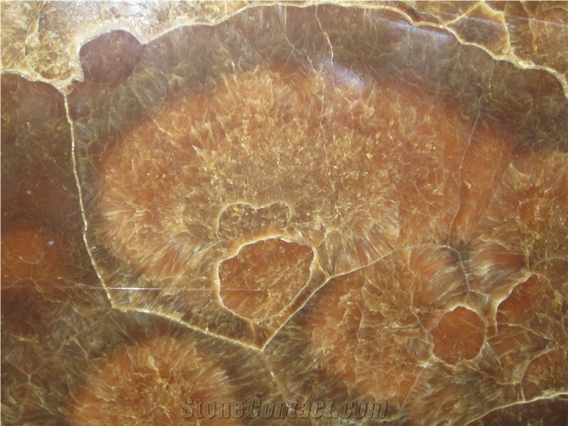 China Golden Brown Onyx Slab High Gloss Translucent Tile,Cafe Marron Onyx Panel for Hotel Bathroom Walling,Floor Covering