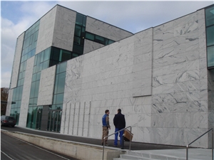 Polished Tibet China Viscont White Granite for Wall Tiles Cladding Project