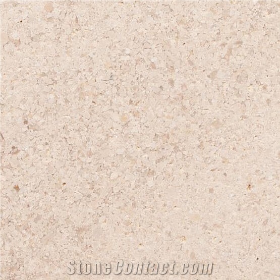 Corte Limestone - Sand Mos Slabs