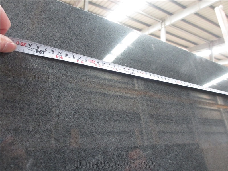 Hot Sell G654 Dark Grey Polished Slabs