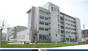 Manufacturer Of Building Stone,Leading Stone Material Company,