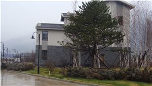 Building Walling Lava Stone Natural Face Culture Stone