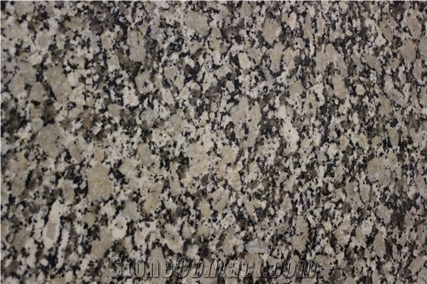 Autumn Leaf Granite Tiles,Slabs