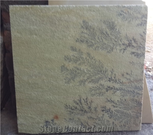Mint Fossil Sandstone Paving