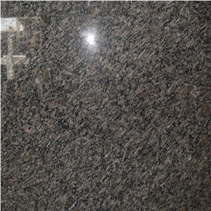 Royal Coffee Big Slabs Factory Price