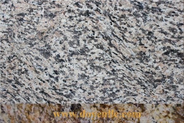 Tiger Skin Chinese Pink Granite Customized Island Countertop
