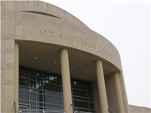 Texas Shell Limestone Wall Cladding