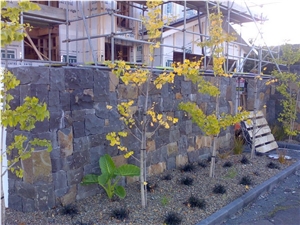 Bluestone Series Milton Shelling Kohi Residential Exterior Mitred Corners Stone Walls