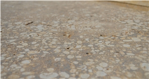 Copper Canyon Sandstone Sawn Patio and Pool Terrace Pavers