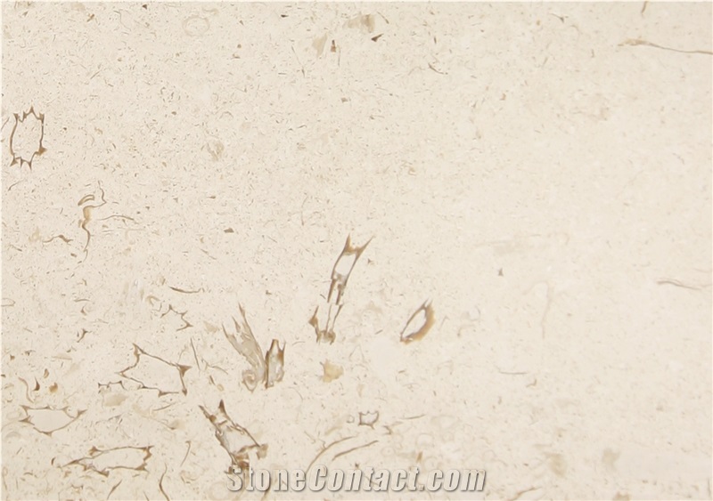 Regatta Fossil Limestone Tiles