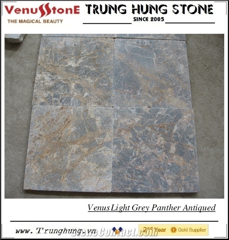 Vietnam Light Grey Panther Antiqued Marble Paving