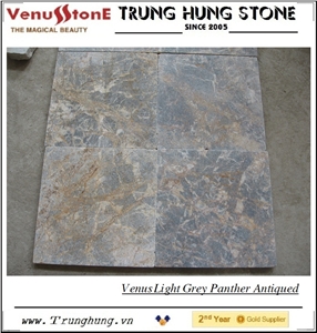 Vietnam Light Grey Panther Antiqued Marble Paving