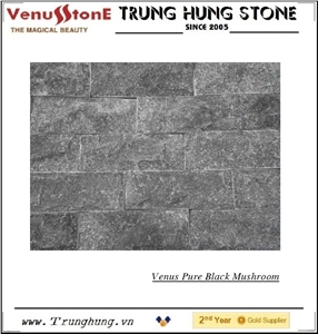 Vietnam Pure Black Mushroom