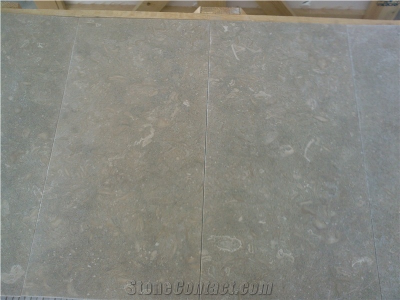 Fossil Green Limestone Tiles & Slabs, Seagrass Limestone Polished Floor Tiles, Wall Tiles