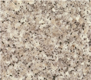 Anhai White Granite Tiles & Slabs,Anhai White Granite Floor Covering,Anhai White Granite
