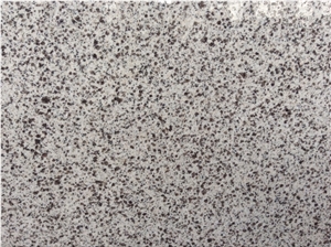 Venus White Slabs & Tiles, China White Granite New Color