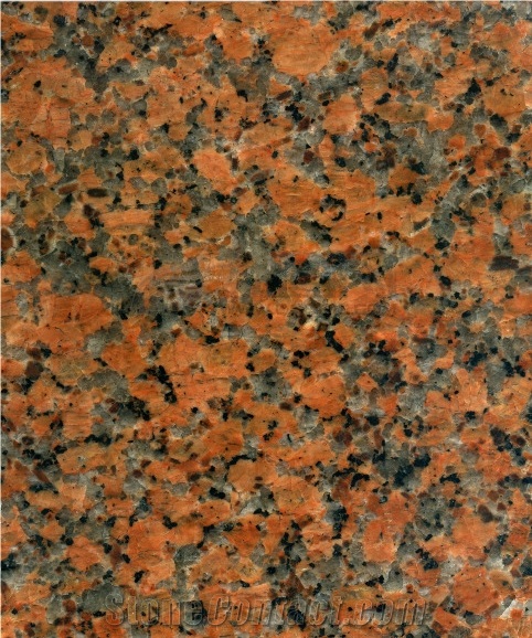 G562 Granite, Maple Red Granite , Red Granit, China Granite Slab