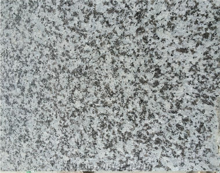 G439/Big White Flower Granite Slab & Tile, China Grey Granite