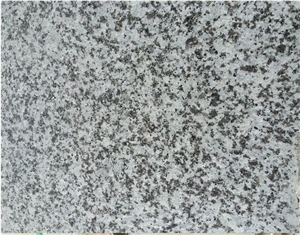G439/Big White Flower Granite Slab & Tile, China Grey Granite