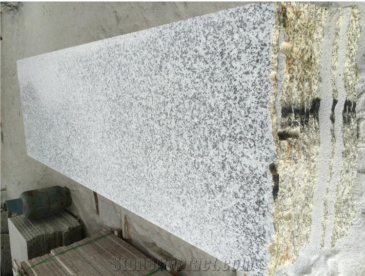 G439/Big White Flower Granite Slab & Tile, China Grey Granite