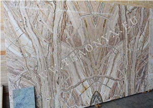 Brown Traonyx