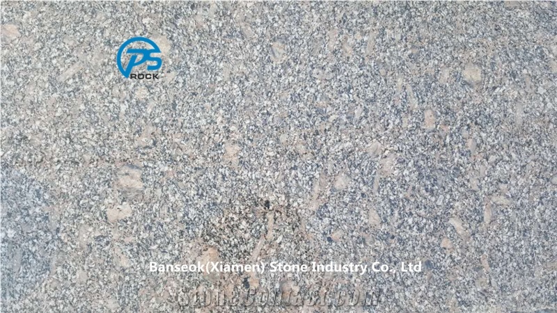 Royal Palm Granite Tile, China Granite Tile & Slab