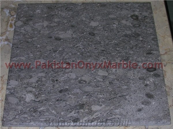 Elegance Oceanic Gemstone Corel Marble Tiles