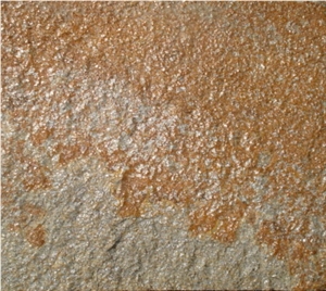 Beige Yellow Gneiss