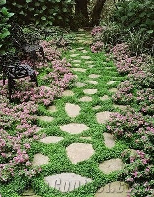 Gneiss for Grass Fugue,, Landscaping Stones, Flagstone
