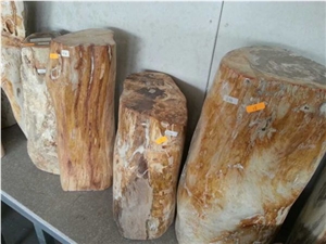 Petrified, Fossilized Wood Stone