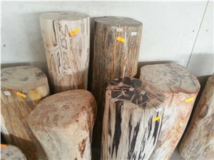 Petrified Wood,Fossilized Wood Stone,Luxary Natural Decorative Stone