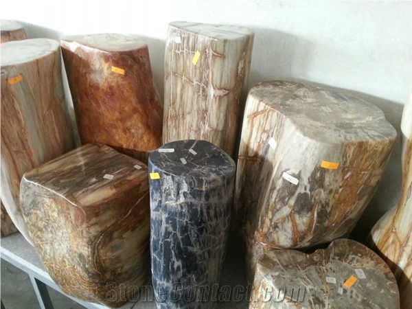 Petrified Wood,Fossilized Wood Stone,Luxary Natural Decorative Stone