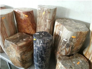 Petrified Wood,Fossilized Wood Stone,Luxary Natural Decorative Stone