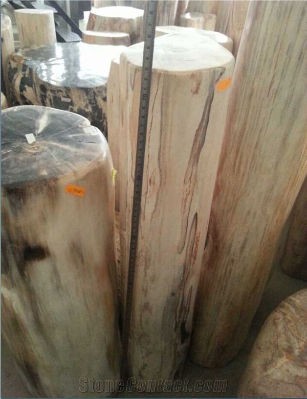 Petrified Wood,Fossilized Wood Stone,Luxary Natural Decorative Stone
