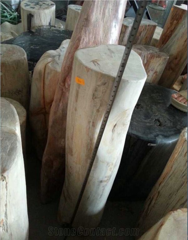 Petrified Wood,Fossilized Wood Stone,Luxary Natural Decorative Stone