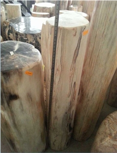 Petrified Wood,Fossilized Wood Stone,Natural Luxary Decorative Stone,High Value for Collection